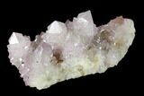 Cactus Quartz (Amethyst) Crystal Cluster - South Africa #137819-2